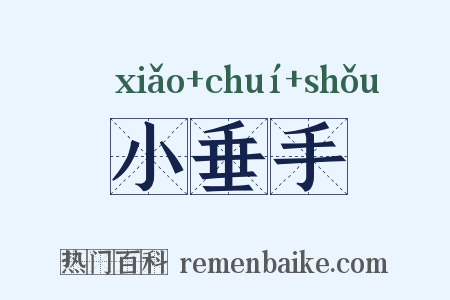 小垂手是什么意思的图片